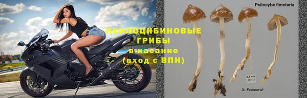 COCAINE Алзамай