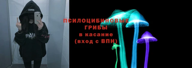 герыч Алексин