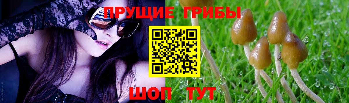 Псилоцибиновые грибы ЛСД  Вход с VPN  Ярцево  Псилоцибиновые грибы мухоморы 